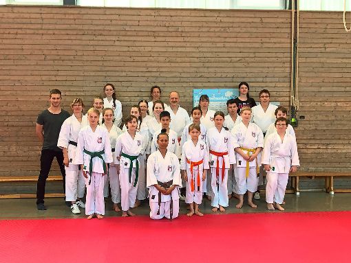 Die Teilnehmer des Karate-Trainingstags übten für Wettkämpfe und Prüfungen. Foto: Bork Foto: Schwarzwälder-Bote