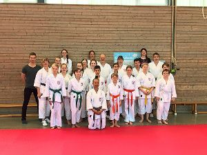 Die Teilnehmer des Karate-Trainingstags übten für Wettkämpfe und Prüfungen. Foto: Bork Foto: Schwarzwälder-Bote