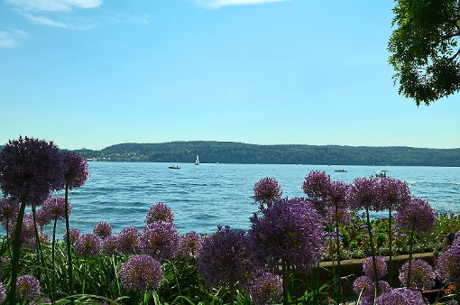Solch schöne Panoramen bietet der Bodensee. Auch Künstler Peter Lenk hat sich hier niedergelassen. Auch sein Anwesen  wird auf der Ausfahrt besucht.  Foto: SWV Foto: Schwarzwälder-Bote