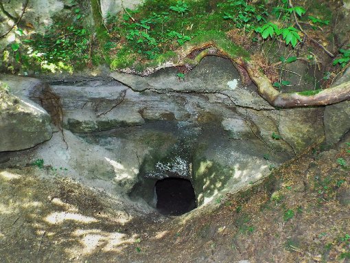 Ein Loch im Hang zeigt noch die Stelle, wo sich der Herrscher über Geislingen vor gut 200 Jahren Reichtum erhoffte. Foto: Schnurr Foto: Schwarzwälder-Bote