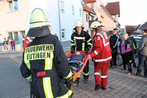Die Feuerwehrabteilung Eutingen barg beim Scheunengebäude-Brand in der Bergstraße Eutingen zwei Mimen und übergab sie an den DRK Ortsverein Eutingen. Foto: Feinler Foto: Schwarzwälder-Bote