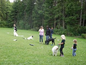 Wie es beim Verein der Hundefreunde in Bitz zugeht, haben die Besucher beim Schnuppertraining erfahren. Foto: Schwarzwälder-Bote