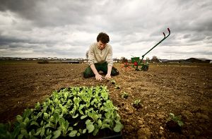 Berengar Weber bereitet die Jahrgärten vor und pflanzt erste Setzlinge. Foto: Max Kovalenko