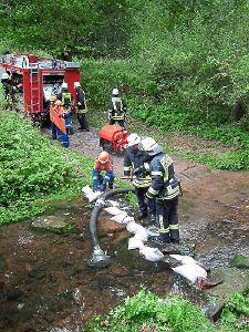 Mit einem Damm stauten die Feuerwehrleute den Eulenbach. Foto: Stocker Foto: Schwarzwälder-Bote