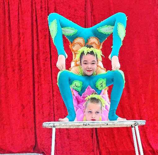 Die Akrobaten des Kinder-Zirkus’ Confetti ziehen mit ihren künstlerischen Aufführungen die Blicke des Publikums magisch an.   Foto: Bombardi Foto: Schwarzwälder-Bote