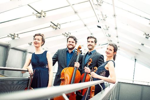 Leidenschaftlich und künstlerisch exzellent: das Aris-Quartett. Es spielt in der Balinger Stadtkirche.  Foto: Bednarek Foto: Schwarzwälder-Bote