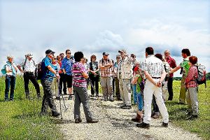 Mitglieder mehrerer Albvereinsgruppen sind mit Wanderführer Berthold Schuß im Schlichemtal unterwegs. Foto: Albverein Foto: Schwarzwälder-Bote
