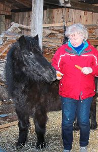 Seit 1985 ist Carola Hannes Vorsitzende und Macherin des Tierschutzvereins Löffingen. Im kommenden Jahr wird sie sich nicht mehr zur Wahl stellen.   Foto: Bächle Foto: Schwarzwälder-Bote