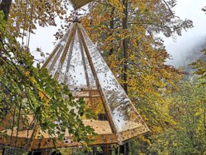 Das hängende Baumhaus in Bad Teinach-Zavelstein bietet freien Blick in den Himmel. Foto: Teinachtal-Touristik