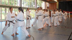Ein dreitägiges Training mit internationalen Karatelehrern fand aus Anlass des zehnjähringen Bestehens des Karateclubs Betra statt. Foto: Hellstern Foto: Schwarzwälder-Bote