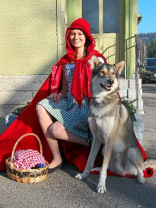 Ein Märchentag mit  Rotkäppchen ist am 4. Juni in Blumberg. Foto: Museumsbahn Foto: Schwarzwälder-Bote