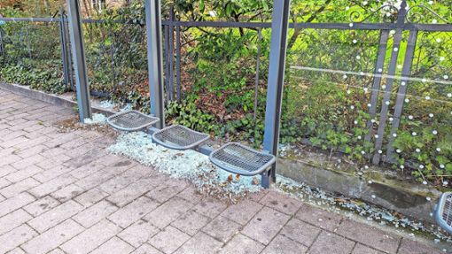 Das Glas an der Bushaltestelle Realschule in der Schillerstraße ging vor einigen Monaten schon einmal zu Bruch. Foto: Riesterer