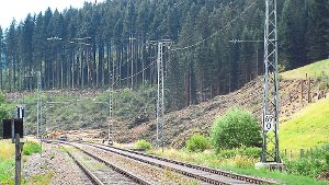 Freie Fahrt scheint für die Schwarzwaldbahn gesichert. In erster Linie geht es hier aber um die Holzernte. Foto: Vaas