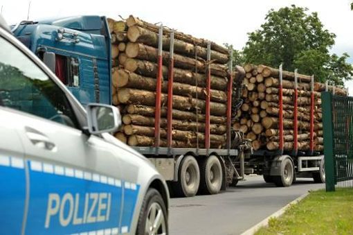 Ein Holztransporter war überladen. (Symbolfoto) Foto: dpa