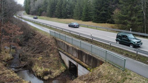 Die Kuhmoosbachbrücke an der Landstraße zwischen Villingen und Pfaffenweiler wird erneuert. Foto: Marc Eich