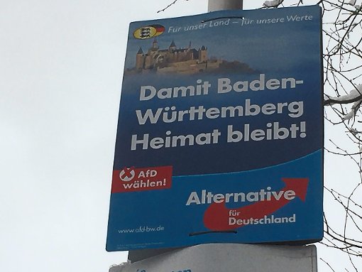 Gegen dieses Wahlplakat der AfD geht das Haus Hohenzollern juristisch vor. Am Dienstag gibts eine Entscheidung. Foto: Maier