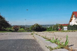 Gras und Blumen brechen durch den  Geh- und Radweg an der Hirschbergstraße. Die Sanierung des Abschnitts  – mit Fahrbahn und Kanal – würde fast 900 000 Euro kosten. Foto: Ungureanu Foto: Schwarzwälder-Bote
