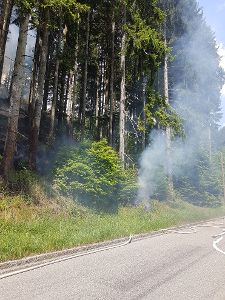 Im Wald zwischen Leinstetten und Fürnsal hat es gebrannt. Foto: Polizei