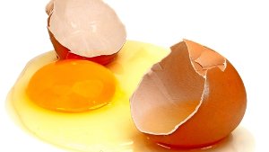 Welches Ei  ist am gesündesten?