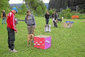 Geschicklichkeit und eine gute Nase sind auf dem Spaßparcours der Hundefreunde gefragt. Foto: Hübner Foto: Schwarzwälder-Bote