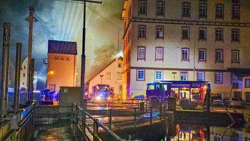 Eine Scheune in Neuenbürg steht lichterloh in Flammen.  Foto: Einsatz-Report24