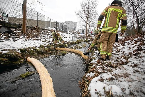 Die Villinger Feuerwehr errichtete in der Brigach Ölsperren, um weitere Verunreinigungen zu verhindern. Foto: Eich