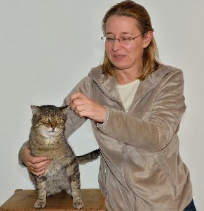 Willi – eine echte Katzenpersönlichkeit – würde sich genauso wie Kerstin Bold freuen, wenn er ein tolles Zuhause fände Foto: Morlok Foto: Schwarzwälder-Bote