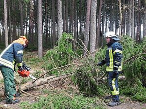 Zahlreiche umgestürzte Bäume blockieren die Straßen rund um Bräunlingen – und bescheren der Feuerwehr damit den ganzen Tag über Einsätze. Foto: Feuerwehr Bräunlingen