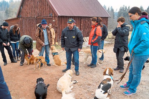Im Gewusel vieler Hunde in Ruhe im Platz zu bleiben, ist für die Vierbeiner in der Schule von Johann-Peter Heim (Mitte mit Mütze) eine Herausforderung.  Foto: Schlenker Foto: Schwarzwälder-Bote