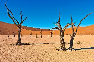 Bilder der Landschaft Namibias sind in dem Vortrag am Sonntag, 12. Februar, ab 18.30 Uhr im Kurhaus zu sehen.  Foto: Veranstalter Foto: Schwarzwälder-Bote