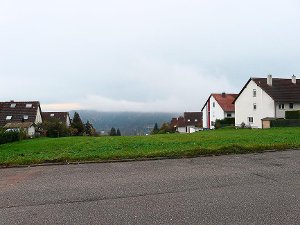 Das Foto zeigt das bisher ausgesparte Gelände von der Straße Am Hährenwald aus gesehen. Foto: Eitel
