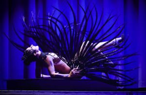 Viel Haut, viel Akrobatik: Die Show „Pure“ im Friedrichsbau-Varieté Foto: Lichtgut/Ferdinando Iannone