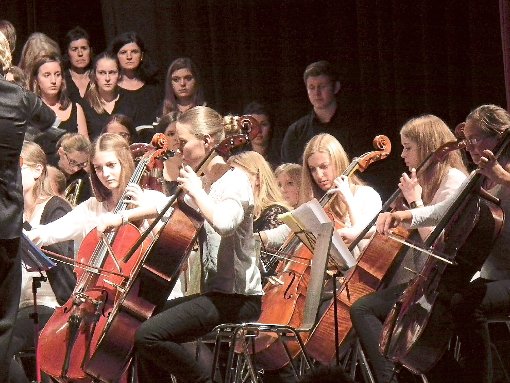 Das Jugendsinfonieorchester Altensteig überzeugte durch seine Kooperation mit den Chören des Maria von Linden Gymnasiums. Foto: Schwarzwälder-Bote