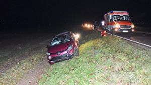 Unfall: Auto prallt in Wildschweine
