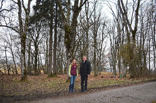 Der Eschenhain  ist eine beliebter Rastplatz. Für die Bäume gibt es aber kaum noch eine Rettung, wie  Bürgermeister Markus Huber bedauert. Mit auf dem Bild: Bachelor-Studentin Anja Braun Foto: Cools Foto: Schwarzwälder-Bote