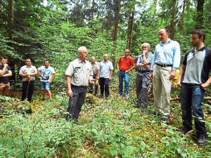 Forstdirektor Hermann Schmidt erklärte dem Junginger Gemeinderat, wie ein stabiler Wald entsteht. Foto: Straub Foto: Schwarzwälder-Bote