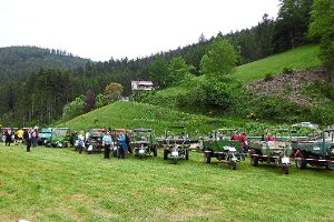 Mehr als 50 Mulags sowie Drei- und Vierbeiner waren bei dem Treffen der historischen Landmaschinen zu sehen. Foto: Schmid Foto: Schwarzwälder-Bote
