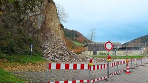 Vorwürfe gegen Stadt: Hat Wolfach zu spät reagiert?
