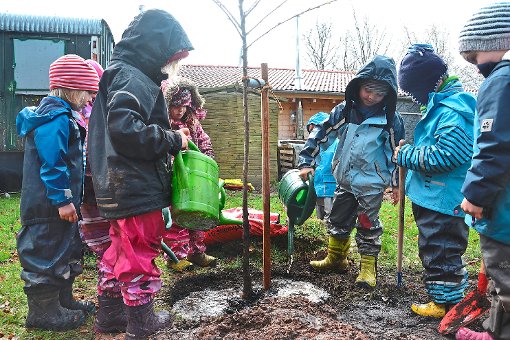 Die Kinder pflanzten mit großer Freude  die ersten Bäume der Streuobstwiese ein.  Foto: Waldkindergarten Foto: Schwarzwälder-Bote
