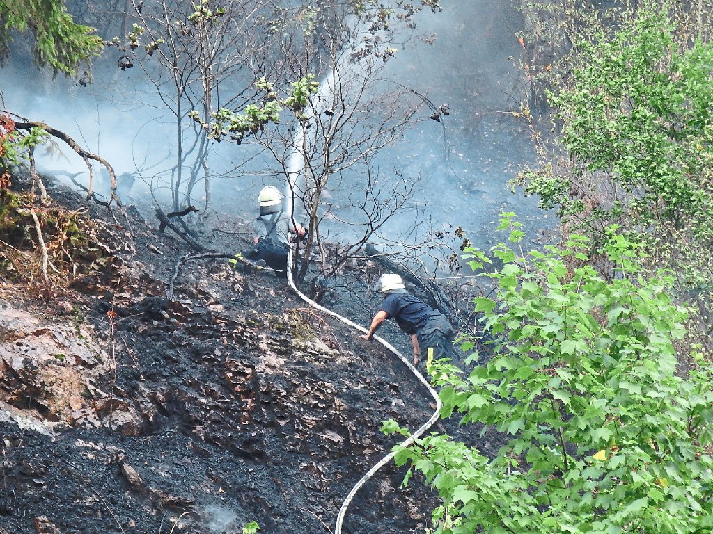 Kompliziert und anstrengend: Waldbrandbekämpfung am Steilhang im Schiltachtal.