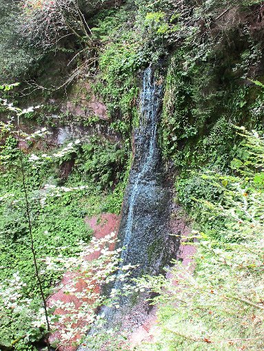 Der Sankenbachwasserfall führte sehr wenig Wasser, was für die Oberndorfer Wanderer sehr enttäuschend war. Foto: Walter Foto: Schwarzwälder-Bote