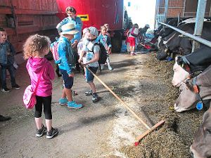 Im Stall haben die Kinder Besen in die Hand genommen und fegen das Heu zu den großen Kühen.  Foto: Privat Foto: Schwarzwälder-Bote
