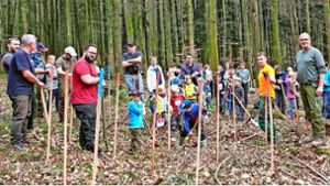 Kippenheimer Bürger helfen beim Bäumepflanzen