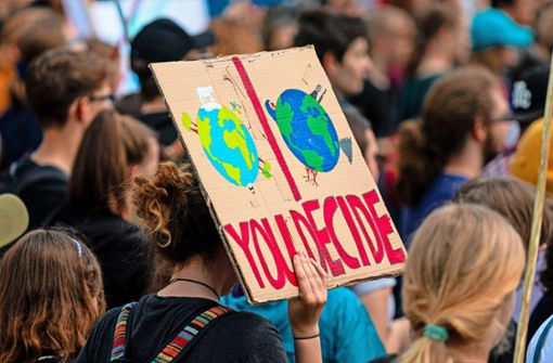 Für eine bessere Klimapolitik wird am Freitag wieder in Villingen-Schwenningen demonstriert. Foto: Pixabay/Dominic Wunderlich