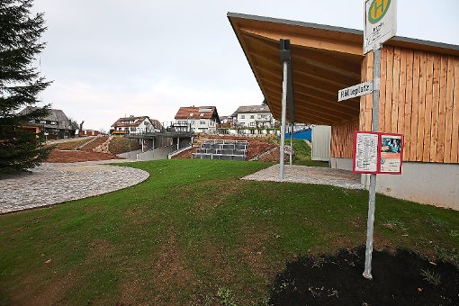 Fast fertiggestellt sind die Bauarbeiten   am Rössle-Platz in Neukirch. Sitze und Vital-Geräte erhalten allerdings erst nach dem Winter die Holzauflagen.  Foto: Eich Foto: Schwarzwälder-Bote
