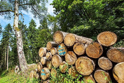 Der Holzmarkt macht es möglich: Der Gemeindeforst in Straßberg wirft Gewinn ab. Foto: Reichel Foto: Schwarzwälder-Bote
