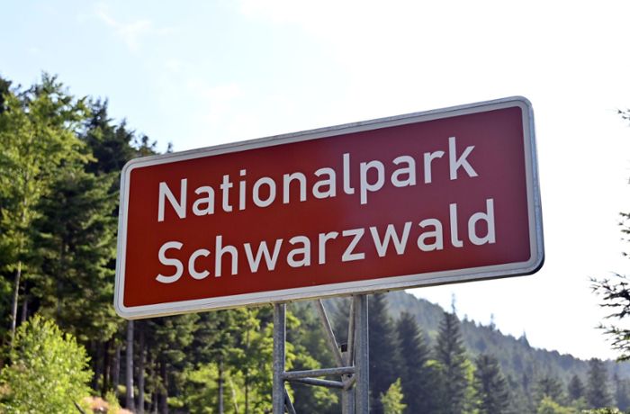 Nationalpark Schwarzwald: Nabu pocht auf Erweiterung des Nationalparks