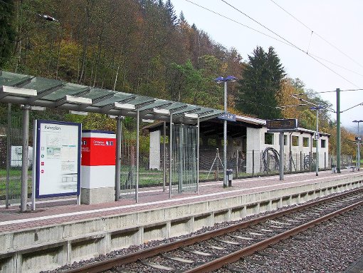 Kommt die Stadtbahn? Auf der Homepage des   Karlsruher Verkehrsverbunds kann man sich informieren.  Fotos: Kugel / Montage: Helber Foto: Schwarzwälder-Bote