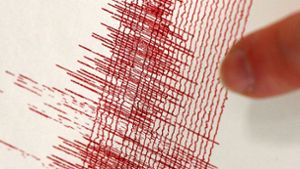 Ein Seismograph zeigt ein Erdbeben an. Foto: dpa/Oliver Berg