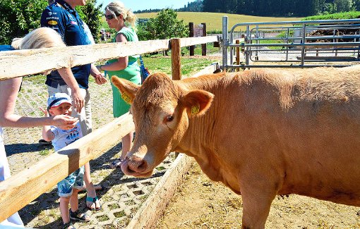 Große Tiere und junge Besucher: Das Hoffest in der Dietinger Kornkammer bringt beide Seiten näher zusammen.  Foto: psw Foto: Schwarzwälder-Bote